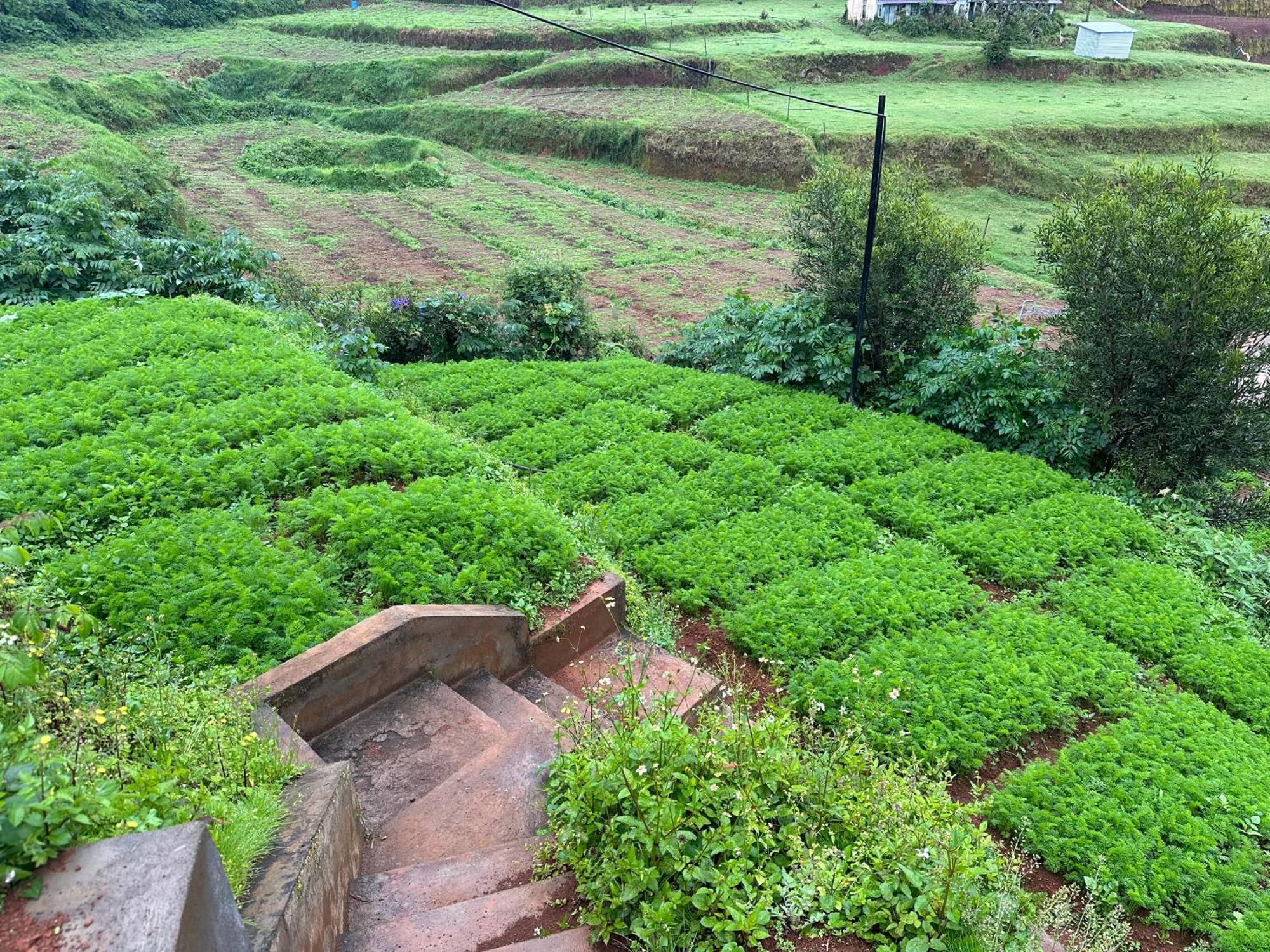 Kanjira House อูตี ภายนอก รูปภาพ